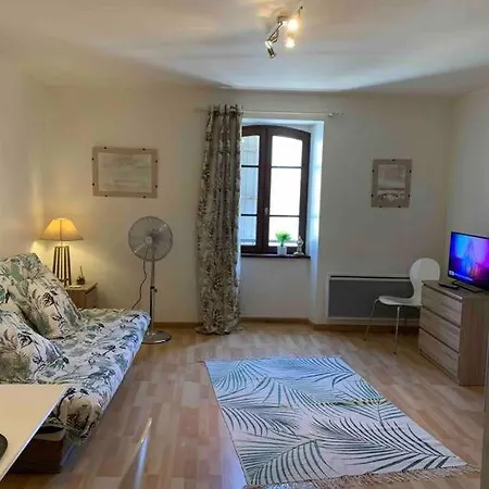 Plein Centre Pres Du Chateau Apartment